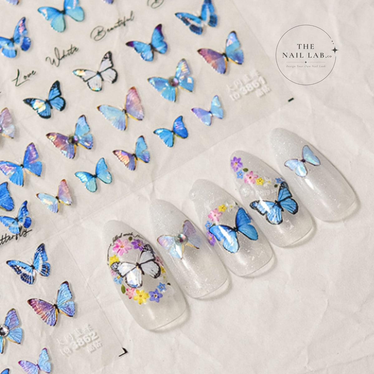 Blue Butterfly